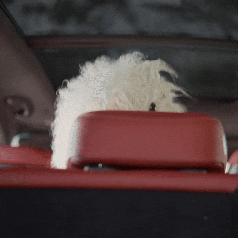 Yippie Flying GIF by Genesis USA