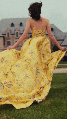 Brunschwig & Fils GIF