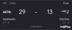 Frauds Superbowls GIF