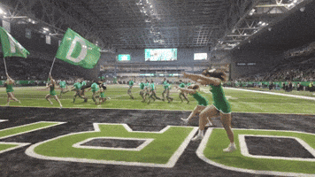 Celebrate Fighting Hawks GIF by University of North Dakota
