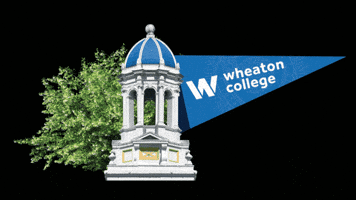 Wheaton Ma GIF by Wheaton College (MA)