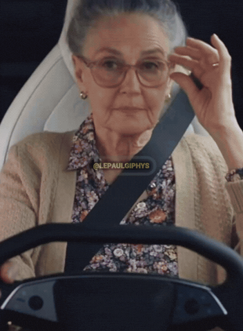Driver Tesla GIF