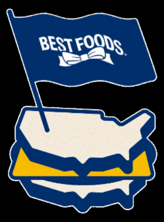 GIF by Hellmann's US