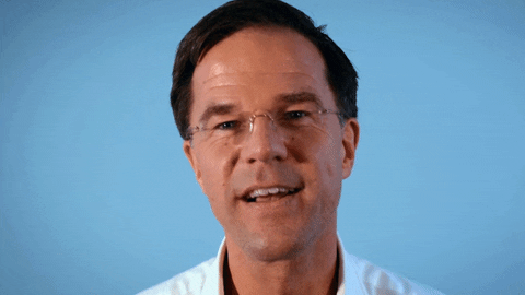 Markeer Ja GIF door VVD