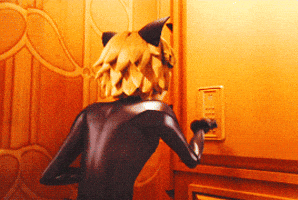 Chat Noir Gifs Get The Best Gif On Giphy