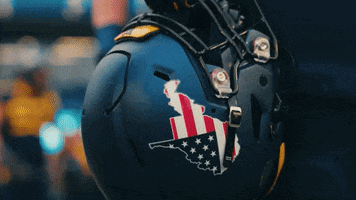 West Virginia Sport GIF by WVU Sports