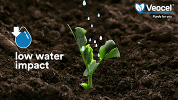 Water Plant GIF by VEOCEL by Lenzing
