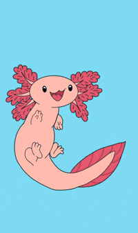 Axolotl Gifs Get The Best Gif On Giphy