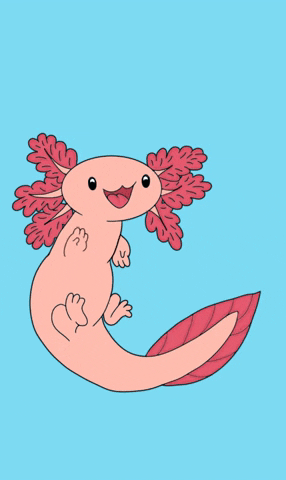 Kawai Axolotl GIF