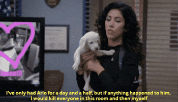 Day Rosa GIF