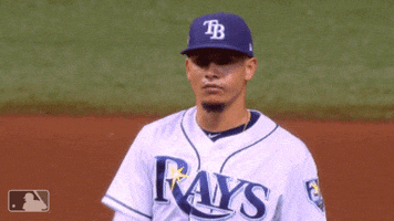 What Are We Doin Tampa Bay Rays GIF by MLB