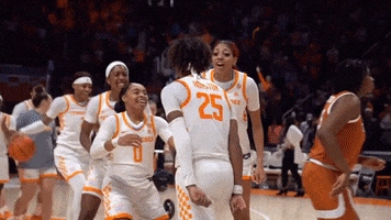 Lady Vols Sport GIF by Tennessee Athletics