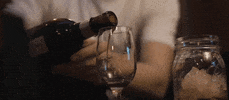 Bottle Of Wine Drink GIF by Kid Quill
