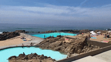 GIF by Tino Comunicação