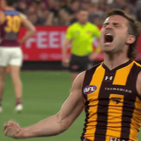 The Wizard Afl GIF