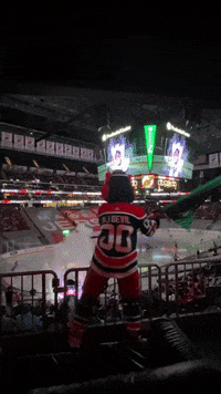 Nj-devils GIFs - Get the best GIF on GIPHY