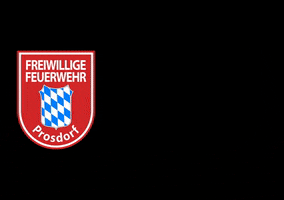 ffw_prosdorf GIF