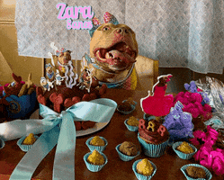 Birthday Zara GIF by tiadessacasapet