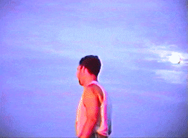 200.gif?cid=fc005b086ae786cb8922b6145544f1775653fbaa01e593ad&rid=200.gif&ct=g