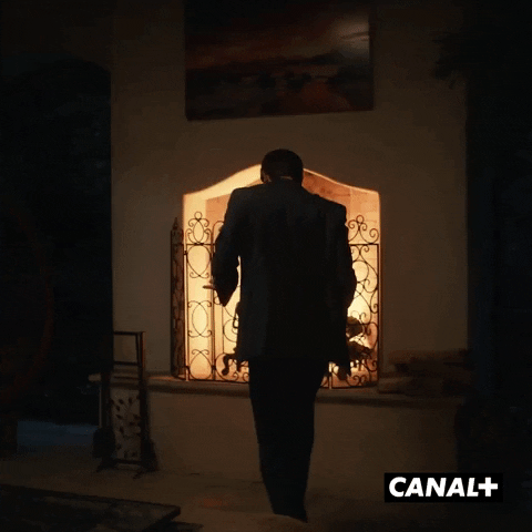 Tv Show Dancing GIF by CANAL+