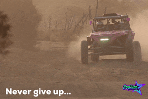 Never Give Up Fox GIF by EVA STAR RACING