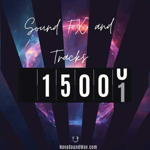 New York Shop GIF by Nova Sound