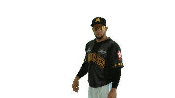 Sport Mlb Sticker by Águilas Cibaeñas