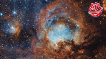 Celebration Nasa GIF by ESA Webb Space Telescope