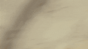 GIF by Marcus King