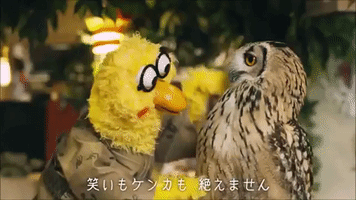taiwan  GIF