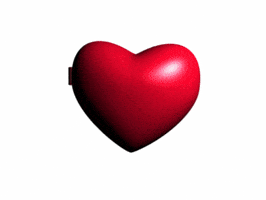Teamalgeriagif GIF