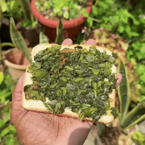 Collard Greens Vegan GIF