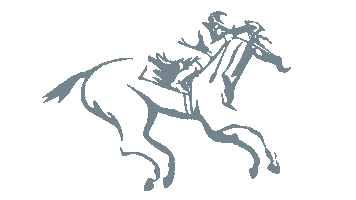 Sticker by dachboard