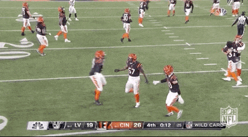 Nfl Playoffs Football GIF by NFL