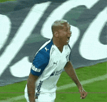 Liga Deyverson GIF