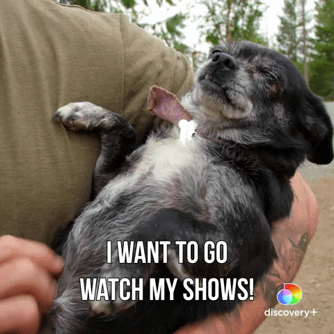 Relax Watching Tv GIF by Animal Planet