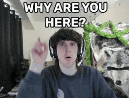 Why Are You Here GIF