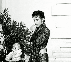 Prince GIF - Find & Share on GIPHY