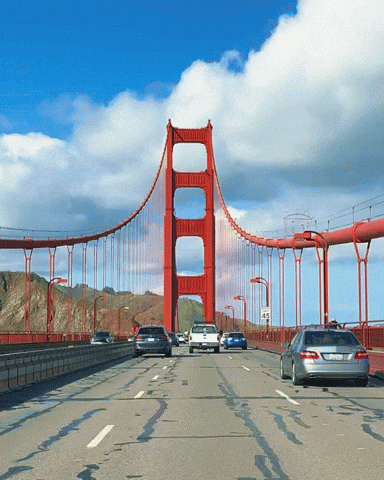 Driving San Francisco GIF by Yevbel
