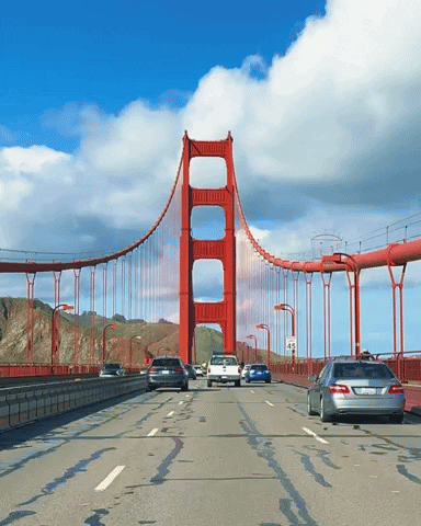 Driving San Francisco GIF by Yevbel