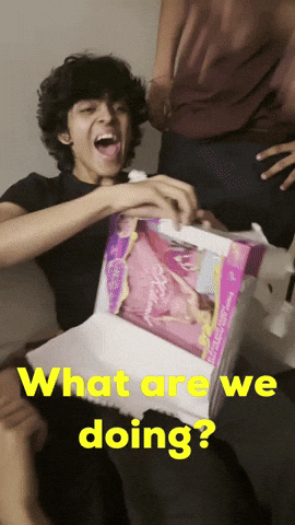 What Are We Doing GIF