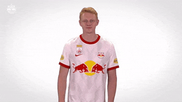 Lets Go Yes GIF by FC Red Bull Salzburg