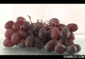 grapes raisins GIF