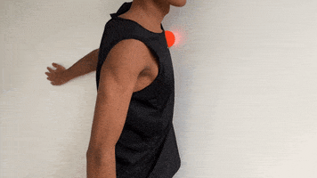 Exercices GIF