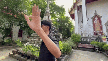 Ngn GIF