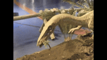 2017 GIF