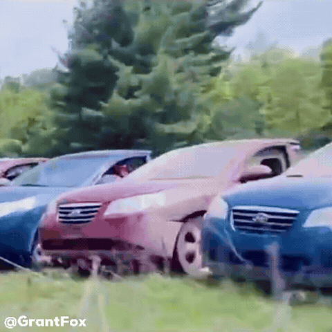 Car Wtf GIF