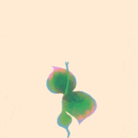 Plant-growth GIFs - Get the best GIF on GIPHY Plant-growth GIFs - Get the best GIF on GIPHY