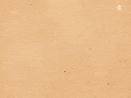 Freedom Fighter Gandhi GIF