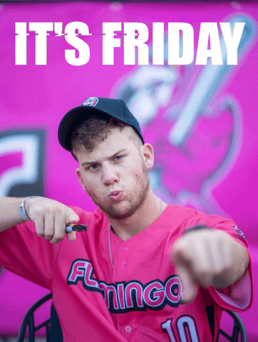 Florence Flamingos GIF